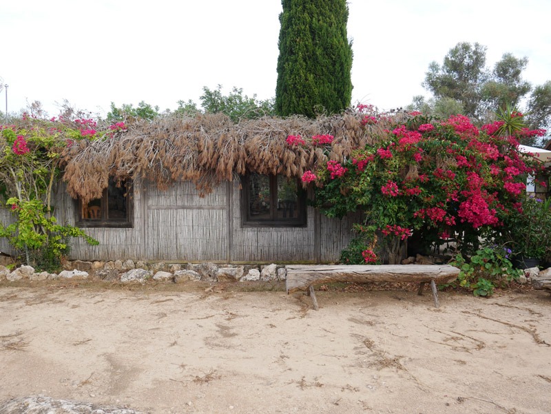 Bar Talaiot Cala Pi Mallorca